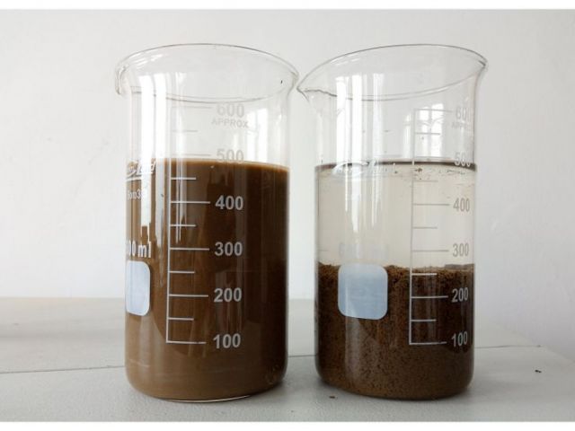 Sludge samples before and after polyelectrolytes addition.jpg